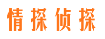 易门市侦探公司